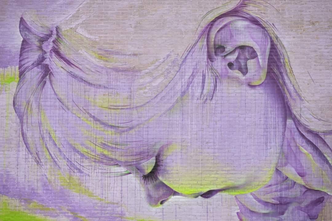 GANDUSIO MAIRA, Infermiere